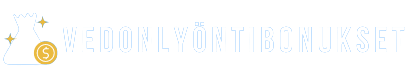 vedonlyontibonukset.io logo